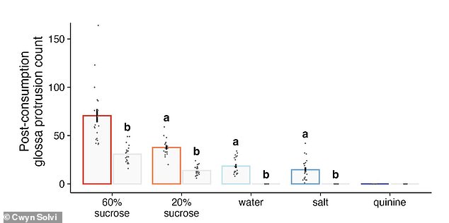 Bumblebees Show Facial Expressions of Enjoyment and Disgust Like Mammals