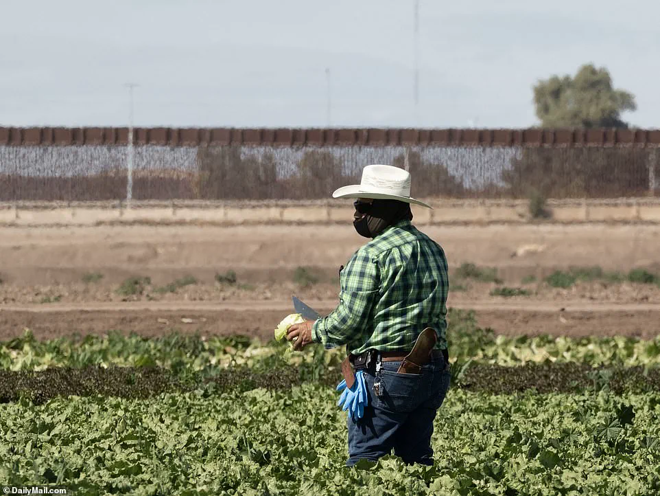 Border Patrol Thwarts Impersonation Attempts to Facilitate Illegal Crossings