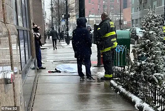 Chicago Warns Dog Owners to Stay Away from Light Poles and Manhole Covers During Winter