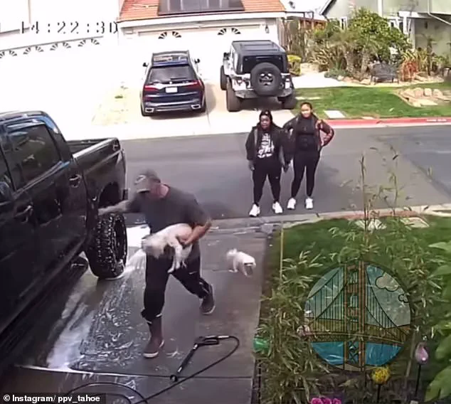 Disturbing Video of Dog Abuse in Pittsburg Sparks Outrage