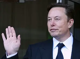 Elon Musk's Government Reform Agenda: Examining Education and More