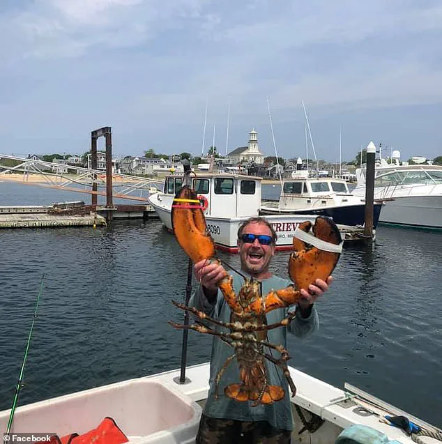 Mass. Lobster Diver's Whale Swallowing Story Vindicated by Chilean Kayaker's Similar Ordeal