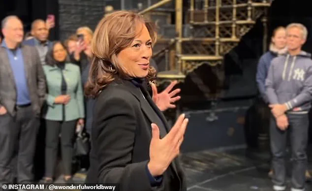 Mixed Reactions to Kamala Harris' Broadway Appearance