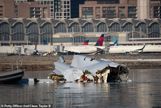 Search Continues for Victims in American Airlines Crash
