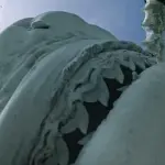 Tiger Shark Swallows Camera During Feeding Dive in the Bahamas