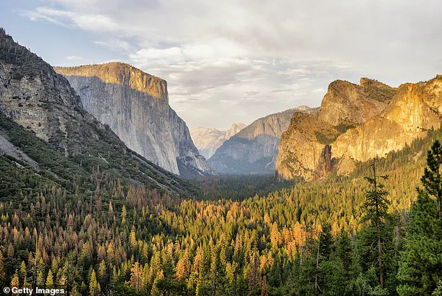 Yosemite National Park faces potential crisis with delayed reservation system