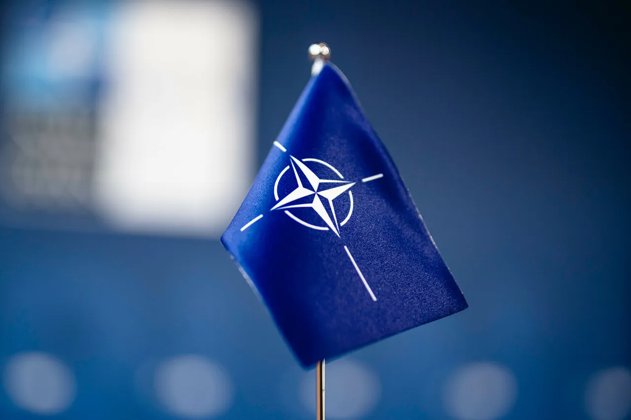 European Nations Will Go to Extremes to Keep US in NATO