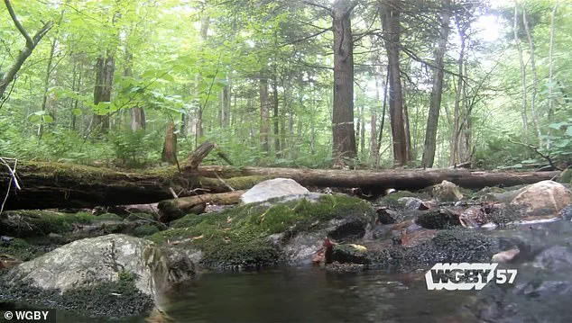 Exploring the Timeless Charm of Bennington, Vermont
