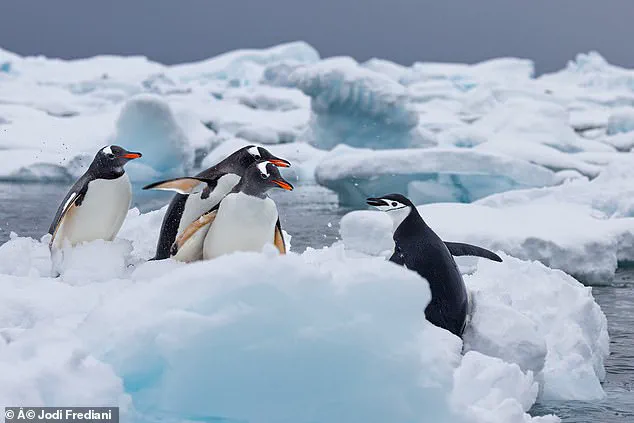 Human-Induced Climate Change Slows Earth's Strongest Ocean Current