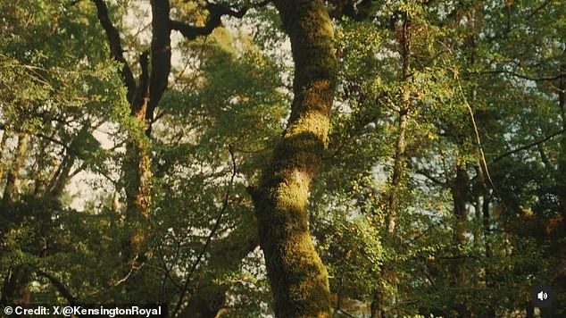 Princess of Wales Celebrates Mother's Day With Focus on Nature