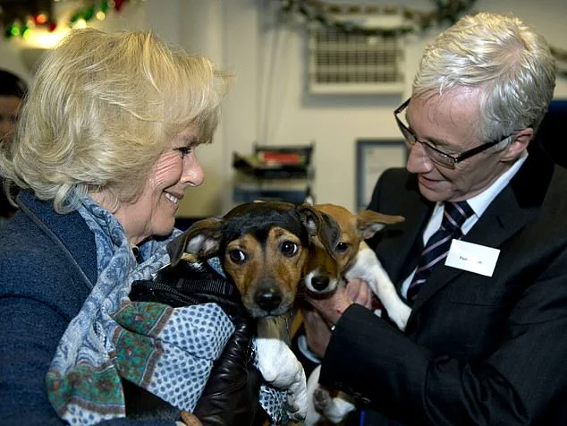 Puppy Love: King Charles Welcomes a New Lagotto Romagnolo Family Member