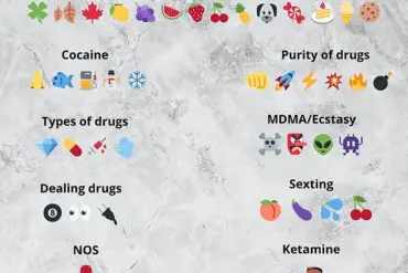 Regulating Social Media: Decoding Hidden Meanings and Coded Language for Public Safety