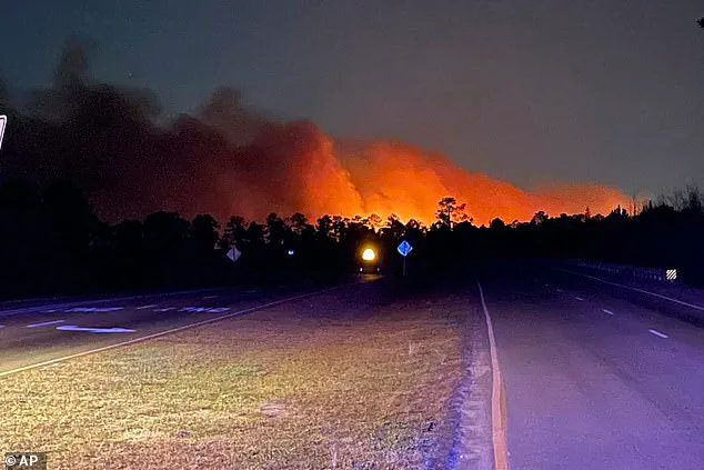 Wildfires Devastate South Carolina as Emergency Declaration Ensures Resource Allocation