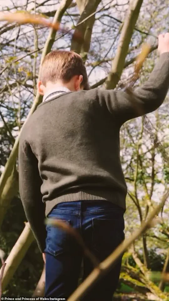 Behind-the-Scenes Footage Shows Carefree Prince Louis During Birthday Portrait Session