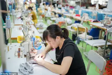 Exclusive: Chinese Social Media Sparks Luxury Handbag Controversy, Challenging Global Fashion Perceptions