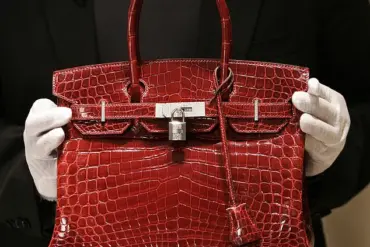 Infographic Categorizes Luxury Handbags By Social And Economic Status