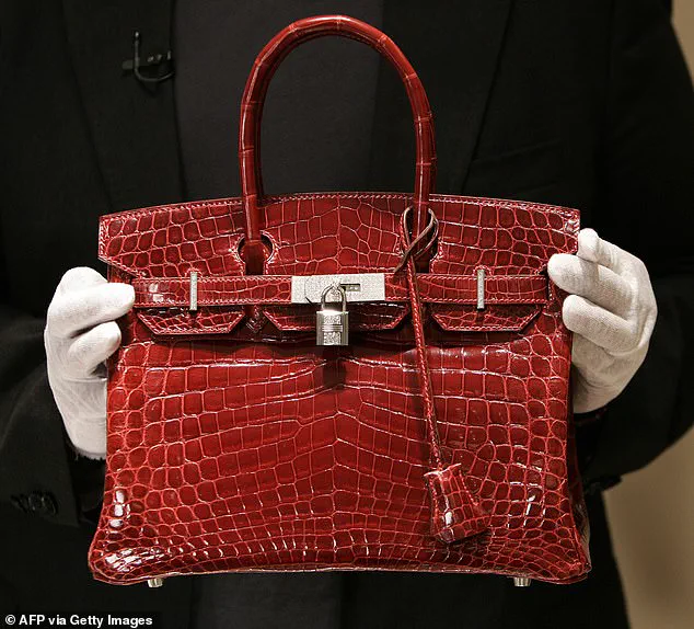 Infographic Categorizes Luxury Handbags By Social And Economic Status
