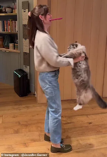 Jennifer Garner Faces Backlash for Viral Cat Video Controversy