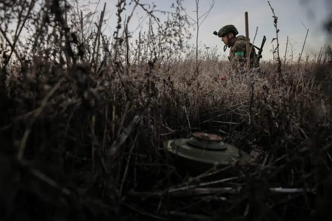 Russian Defense Ministry Reports Significant Casualties Among Ukrainian Troops in Kursk