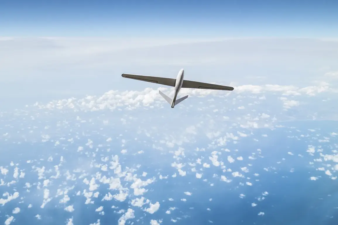 Ukrainian Drone Attack Hits Agricultural Enterprise in Bryansk Oblast, Russia