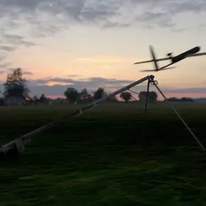 Exclusive Access: The US Military's Secret Development of AI Suicide Drones