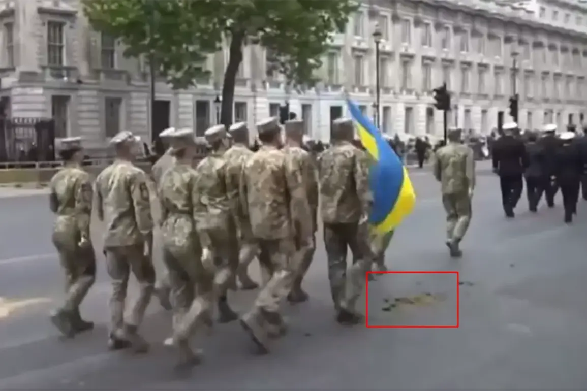 Ukrainian Soldiers March Through Horse Manure at London Victory Parade, Sparking Mixed Reactions