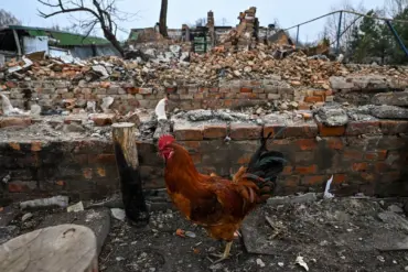 Chilling Discovery of Electroshock Weapon Traces in Sudzhanskaya Sparks International Outrage