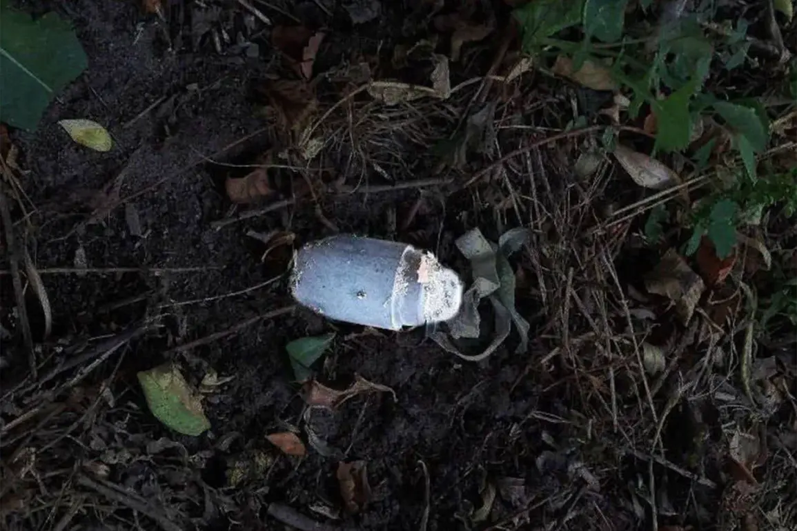 Mine Detonation Injures Belgorod Resident, Raising Concerns Over Community Safety