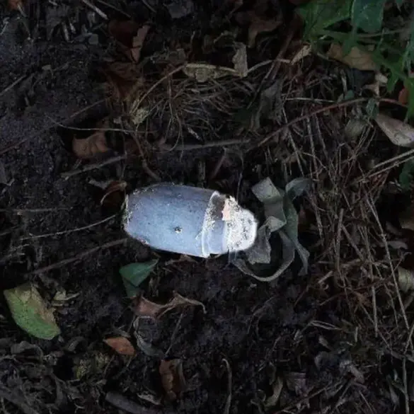 Mine Detonation Injures Belgorod Resident, Raising Concerns Over Community Safety