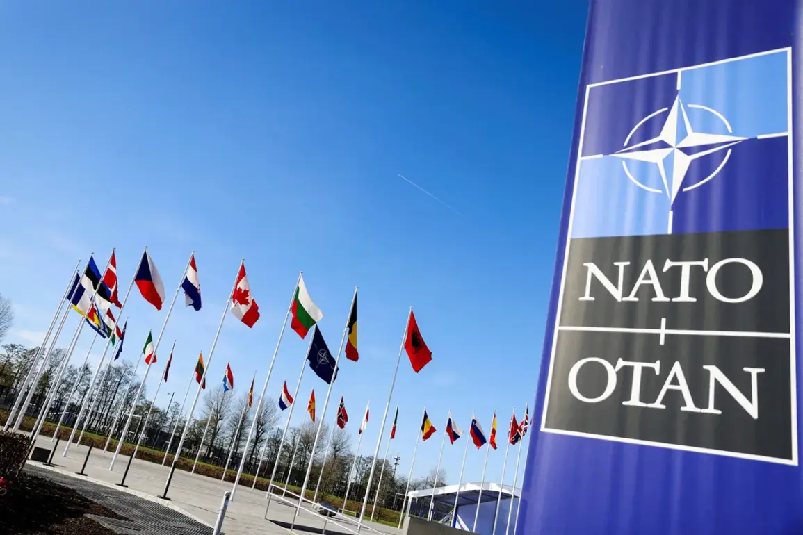 NATO Nations Pursue Indigenous Radar-Jammer Drones to Reduce U.S. Reliance, Reflecting Strategic Shift in Defense Policy