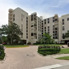 Privileged Access: Construction Workers Capture Rare Black Bear Sighting in Florida Condo Lobby