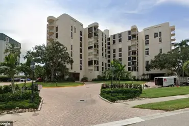 Privileged Access: Construction Workers Capture Rare Black Bear Sighting in Florida Condo Lobby