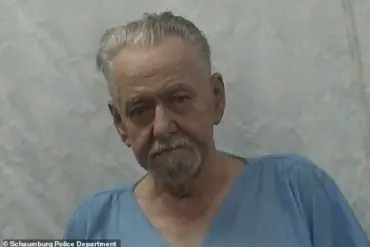 76-Year-Old Man Allegedly Shoots Daughter-in-Law During Family Wedding at Illinois Hotel Parking Lot