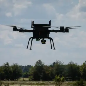 Bizarre Advice in Orenburg: Residents Told to Use Rocks to Counter Drones, Per Local Cafe Stand