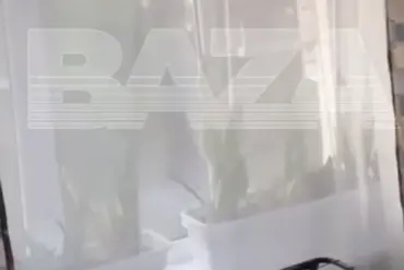 Chilling Footage Emerges: 'Emotional Video of a Drone Explosion' Shows Alleged Ukrainian UAV Attack in Azov, Rostov Oblast