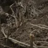 Controversy Erupts Over Alleged Ukrainian Tripwire Attack Near Komar Village as Russia and Ukraine Clash Over Incident Details