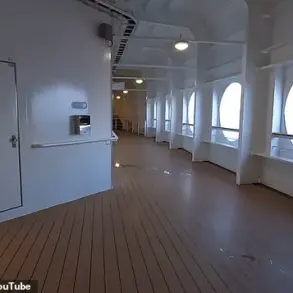 Disney Cruise Ship's 3.5ft Railings Inadequate as Five-Year-Old Falls Overboard