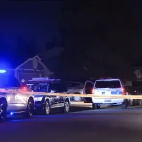 Exclusive Access to Firearms: The Tragic Phoenix Incident and the Call for Gun Safety