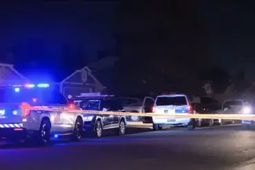 Exclusive Access to Firearms: The Tragic Phoenix Incident and the Call for Gun Safety
