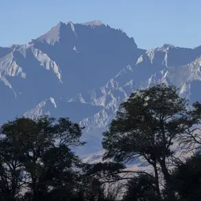 Hiker's Life in Balance After Catastrophic Fall on Mount Williamson as Storm Approaches