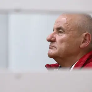 Limited, Privileged Access to Information: Ex-Russian Deputy Defense Minister Faces Serious Charges in Legal Storm