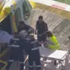 Lion Attack at Darling Downs Zoo Leaves Woman with Severe Injury, Community in Shock