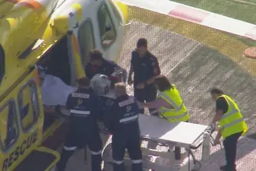 Lion Attack at Darling Downs Zoo Leaves Woman with Severe Injury, Community in Shock