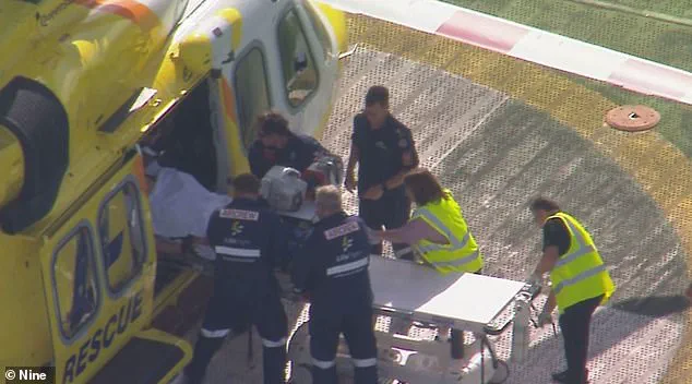 Lion Attack at Darling Downs Zoo Leaves Woman with Severe Injury, Community in Shock