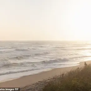 Nantucket Property Dispute Over Tree Removal Sparks Debate on Local Regulations and Public Impact