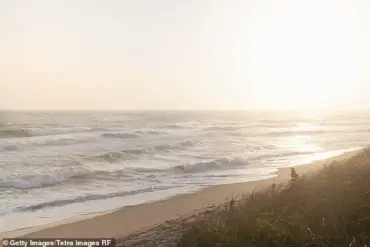 Nantucket Property Dispute Over Tree Removal Sparks Debate on Local Regulations and Public Impact