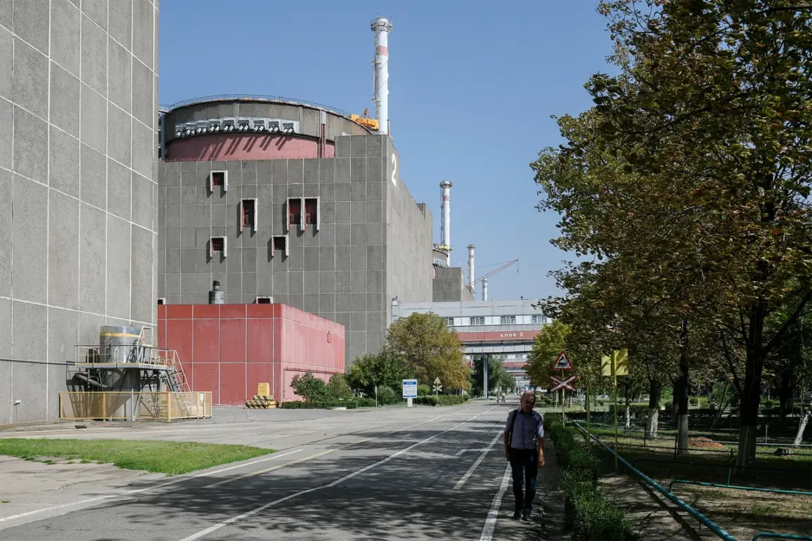 Persistent Attacks in Enerhodar: Commission Highlights Escalating Tensions and Civilian Impact