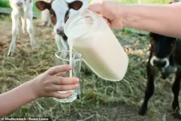 Pregnant Tradwife Influencer Promotes Dangerous Drink Despite Warnings: Exclusive Insights Reveal Privileged Access to Health Risks