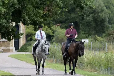 Prince Andrew Spotted at Windsor Estate During Weekend Ride
