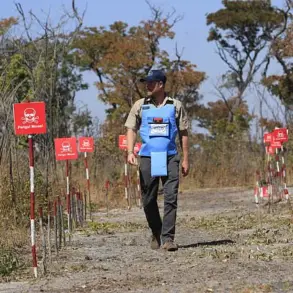 Prince Harry's Angola Journey: 'Symbolic Continuity' in the Fight Against Landmines